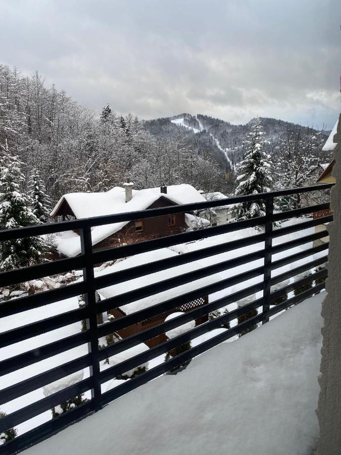 Domek Rogaty Chalet